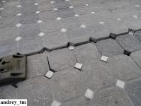 Imagine atasata: 8 noiembrie 2014 (25).jpg